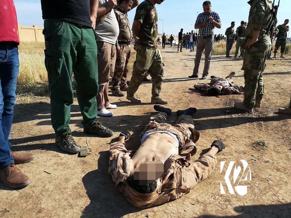 پێشمەرگە ھێرشێكی داعشی لە كەركووك تێكشكاند