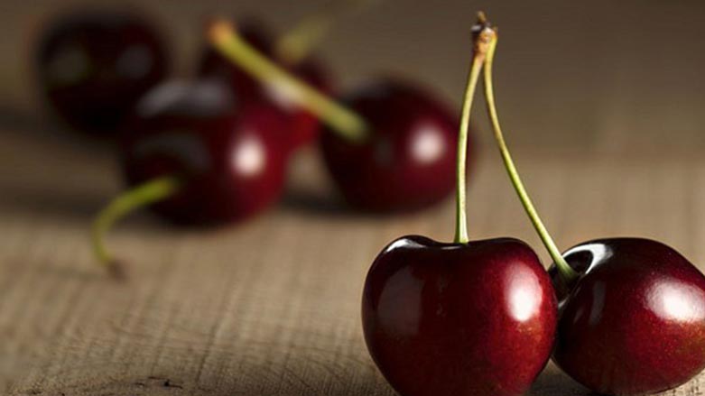 شنۆ گه‌وره‌ترين ناوه‌ندى به‌رهه‌مهێنانى گێلاسى ئێرانه‌