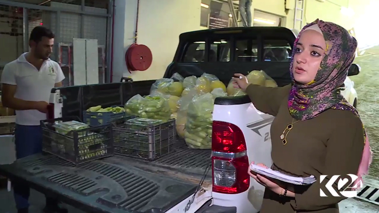 بالصور.. مشروع زراعي لانتاج الخضروات المحلية بكوردستان