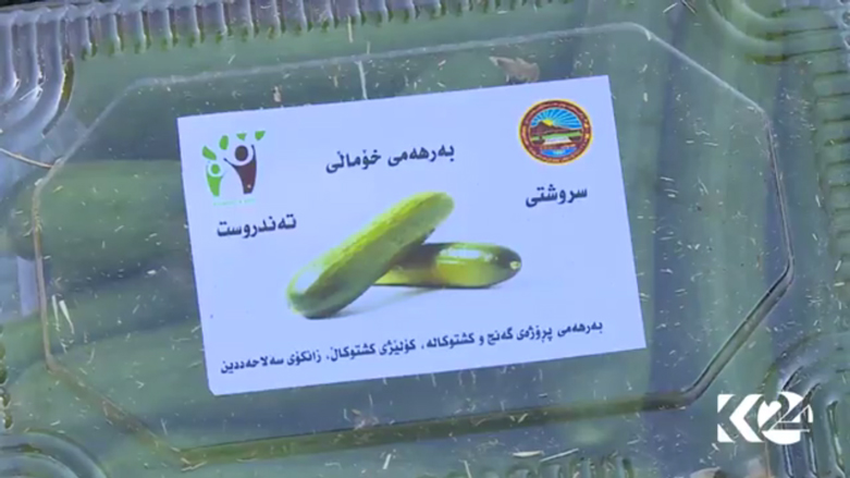 بالصور.. مشروع زراعي لانتاج الخضروات المحلية بكوردستان