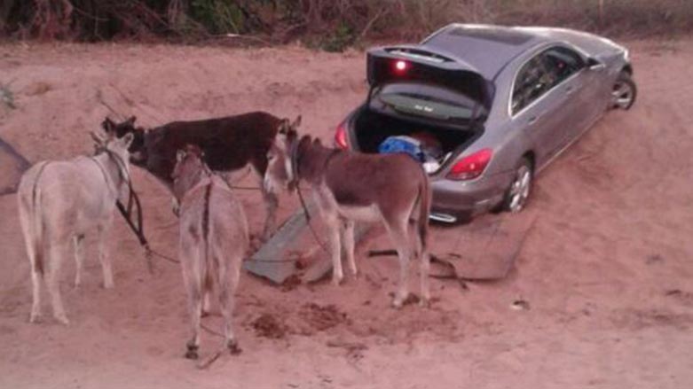 هه‌وڵى دزينى مارسيدسێك به‌ چوار گوێدرێژ شكستيهێنا