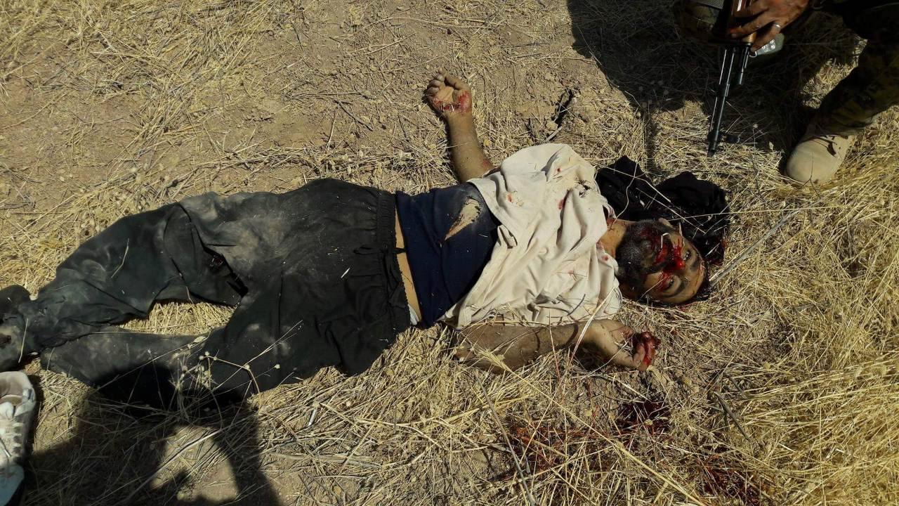 نیروهای پیشمرگه پنج تروریست داعش را کشتند