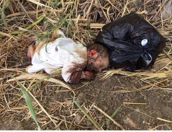 بە وێنە... منداڵێك بە برینداری دۆزرایەوە