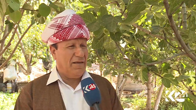 Pêşmergeyên berê li referandûmê xwedî derdikevin
