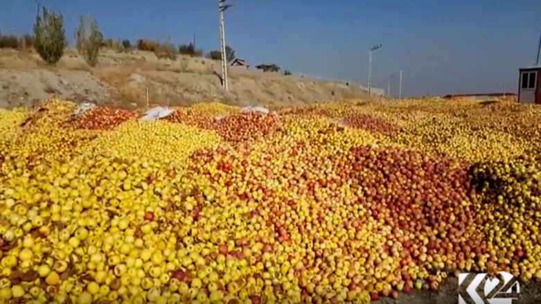 ھەزاران تۆن سێوی پارێزگای ورمێ بێ كڕیارە