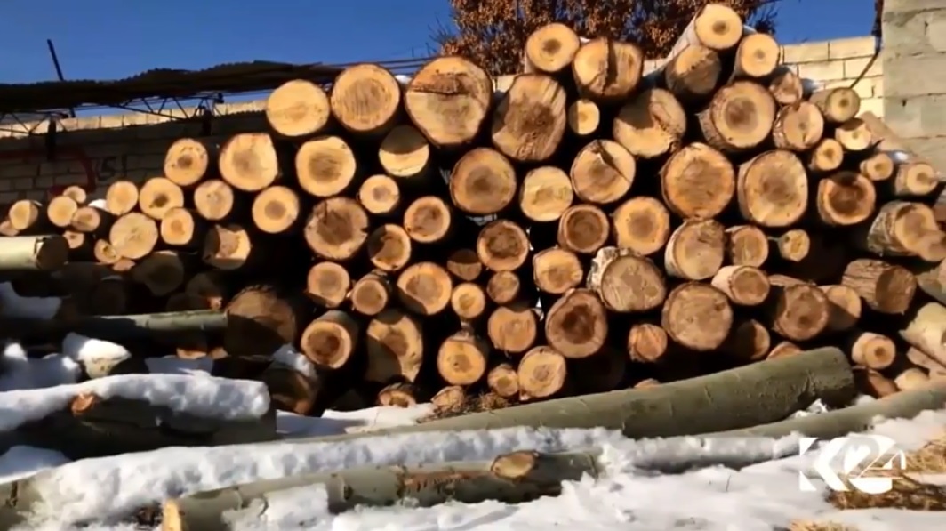 حكومەتی ئێران مۆڵەتی داڕبرینی لە رۆژھەڵاتی كوردستان داوە