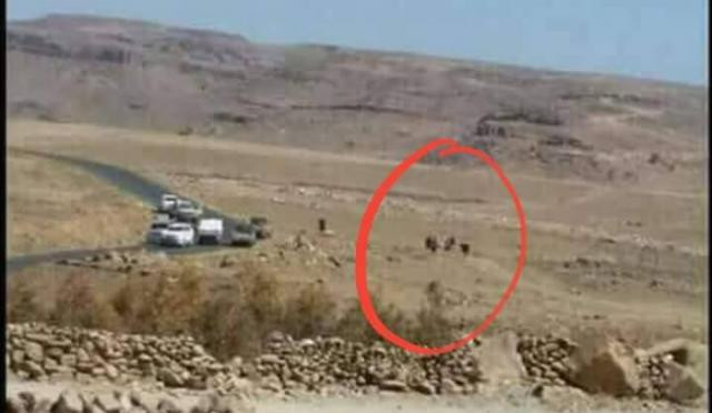 وێنه‌ی بۆسه‌ی چه‌كدارانی ئه‌نساڕوڵڵای حووسی، له‌لایه‌ن وێبسایتی 