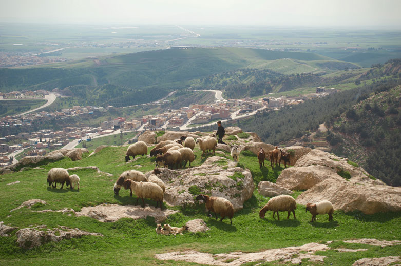 View from Kale.