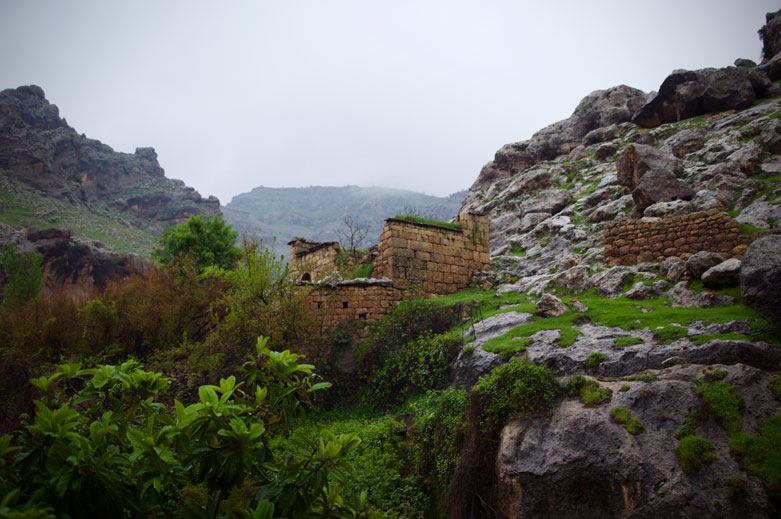 Valley leading to Takiye Sheikh Abdulaziz.