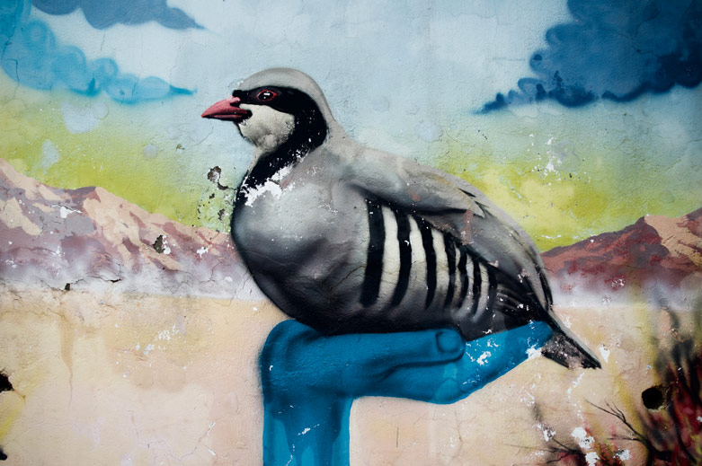 Mural showing the partridge, known as the ‘kaw’ in Kurdish, which is honoured in Kurdish culture for its place amid the burrows in the mountains just like the Kurds themselves.