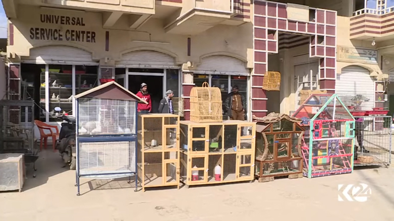 عودة تجارة الطيور الى المناطق المحررة منها