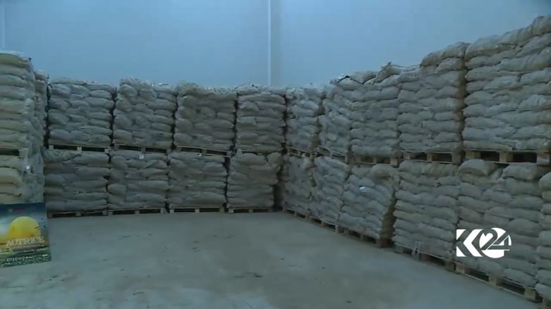 بالصور.. كوردستان تعتزم تصدير البطاطا المحلية الى خارج العراق