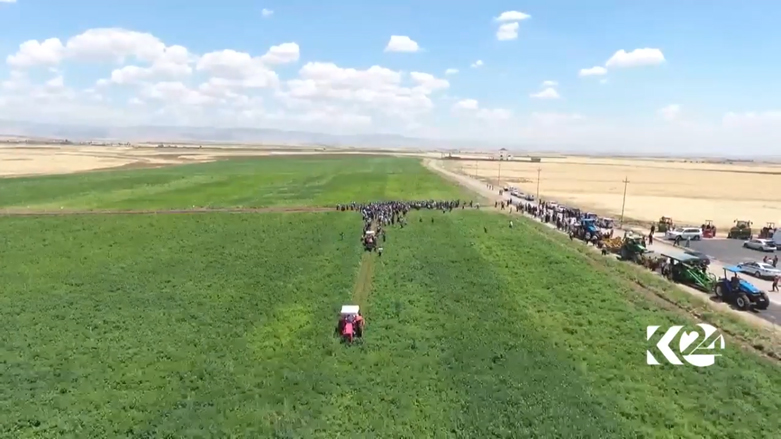 بالصور.. كوردستان تعتزم تصدير البطاطا المحلية الى خارج العراق