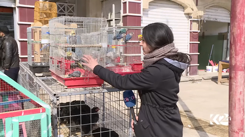 مراسلة كوردستان24 تقول ان العديد من الاهالي ذبحوا طيورهم أو حبسوها