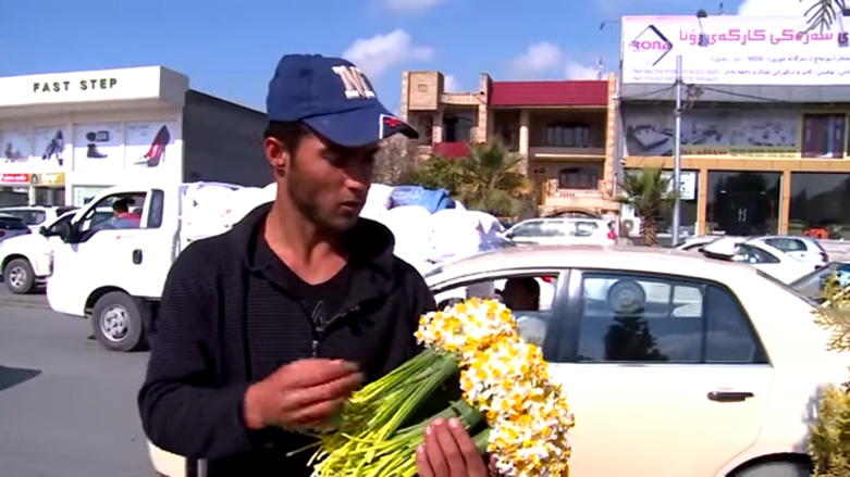 باعة النرجس في شوارع كوردستان