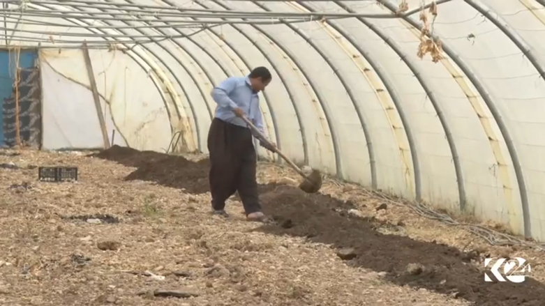 نحو 350 من البيوت البلاستيكية في قرية واحدة بكوردستان