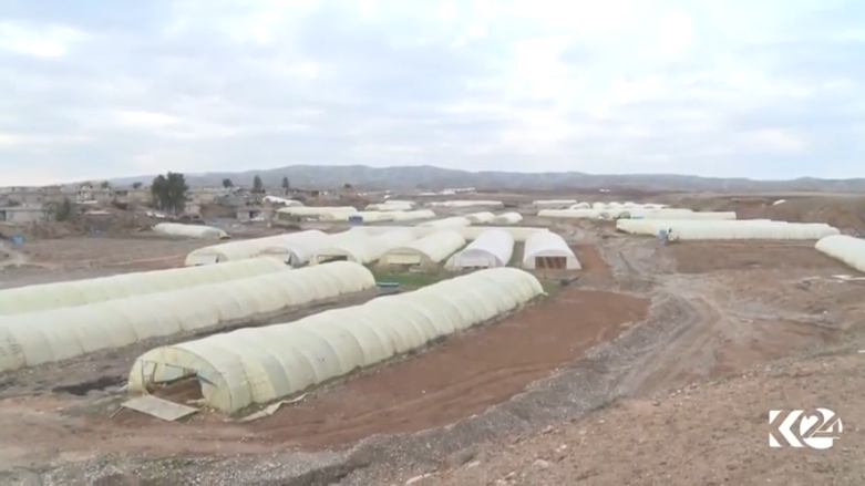 بإمكان قرية سبي مالي تغطية حاجة محافظة دهوك من الخضار