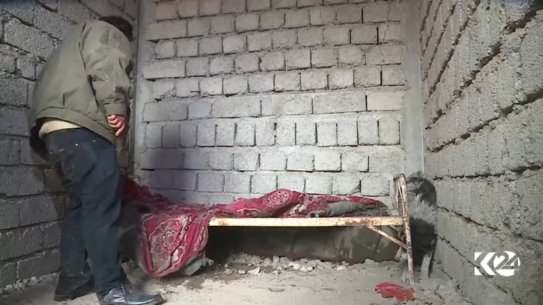 كلب يتقاسم طعامه مع شاب مشرد بدهوك