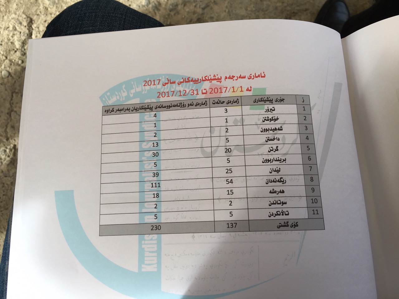 ئاماری پێشێلكارییەكانی ساڵی 2017
