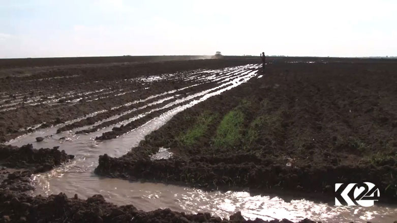 Derengmayîna baranê, ziyan gihandiye cotkarên Rojava