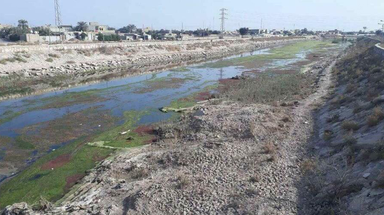 غاب الجريان على الرغم من فصل الشتاء - صورة تداولها ناشطون على الانترنت