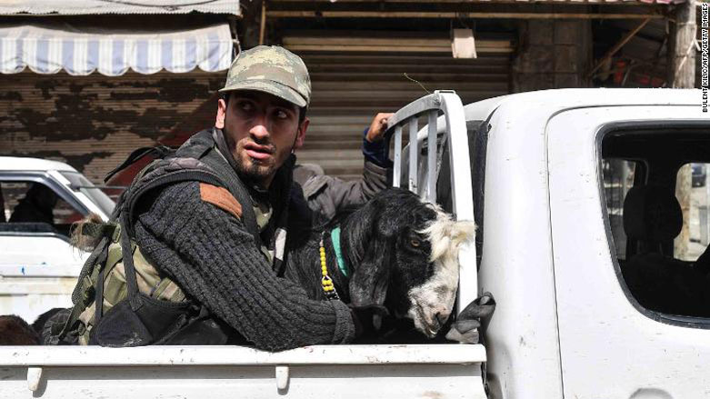 A fighter rides in the back of a pickup truck with looted livestock. (Photo: AFP/Getty Images)