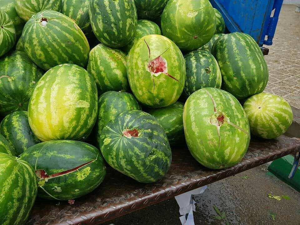 بارش تگرک به اندازه تخم مرغ در کرمانشاه