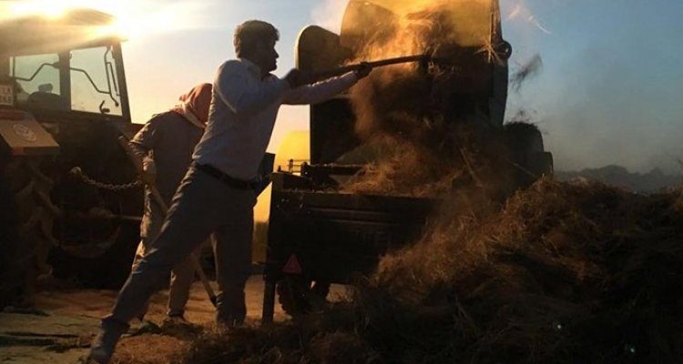 لە پەرلەمانتارییەوە بۆ دروێنەی نیسك