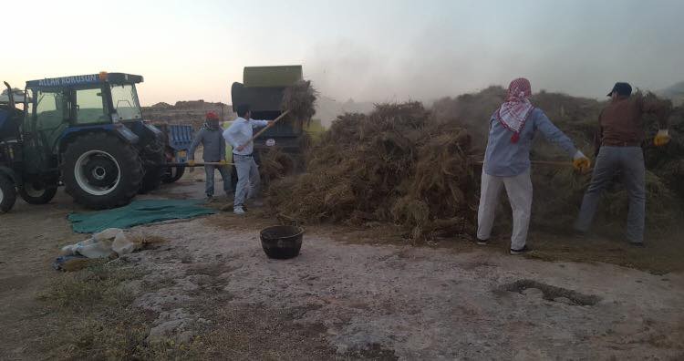 لە پەرلەمانتارییەوە بۆ دروێنەی نیسك