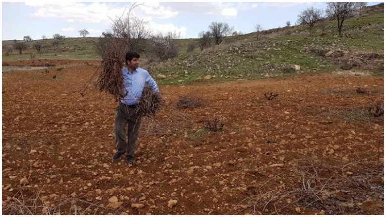 لە پەرلەمانتارییەوە بۆ دروێنەی نیسك