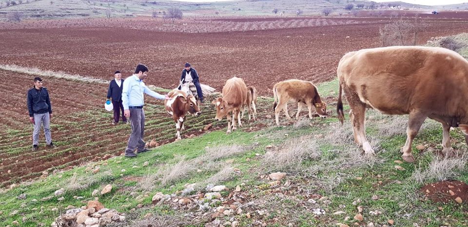لە پەرلەمانتارییەوە بۆ دروێنەی نیسك