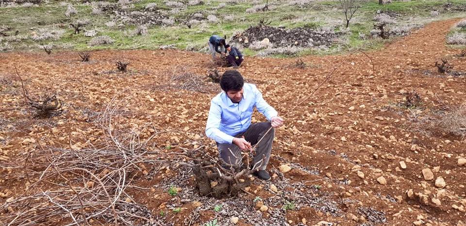 لە پەرلەمانتارییەوە بۆ دروێنەی نیسك