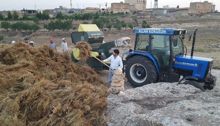 لە پەرلەمانتارییەوە بۆ دروێنەی نیسك