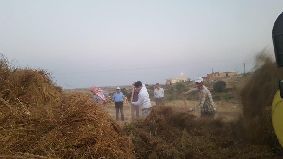 لە پەرلەمانتارییەوە بۆ دروێنەی نیسك