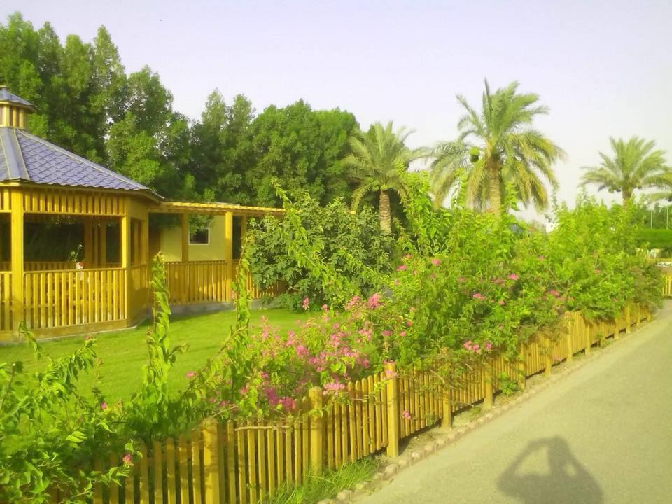 صحراء عراقية تتحول لجنة خضراء بلمسات صينية