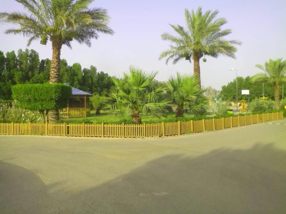 صحراء عراقية تتحول لجنة خضراء بلمسات صينية