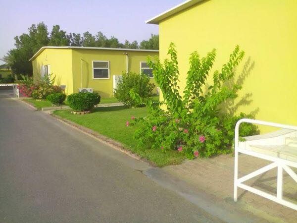 صحراء عراقية تتحول لجنة خضراء بلمسات صينية