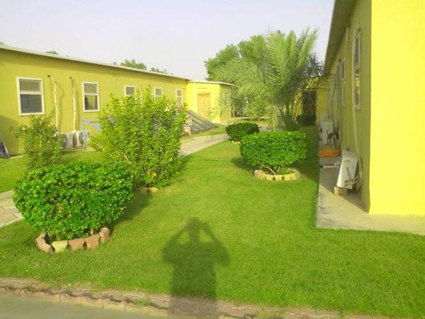 صحراء عراقية تتحول لجنة خضراء بلمسات صينية