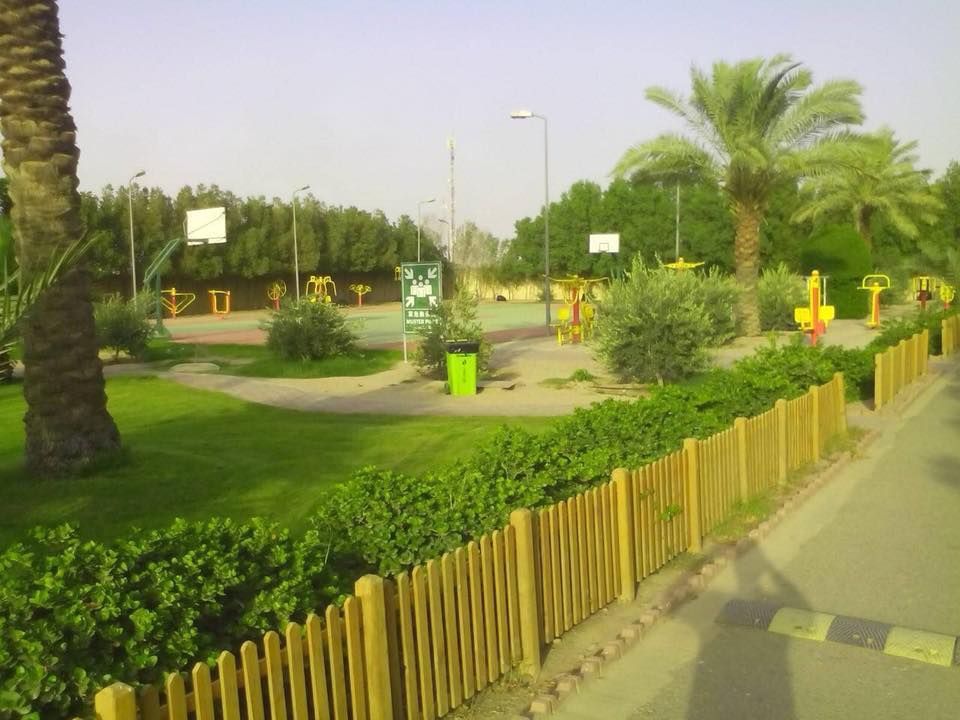 صحراء عراقية تتحول لجنة خضراء بلمسات صينية