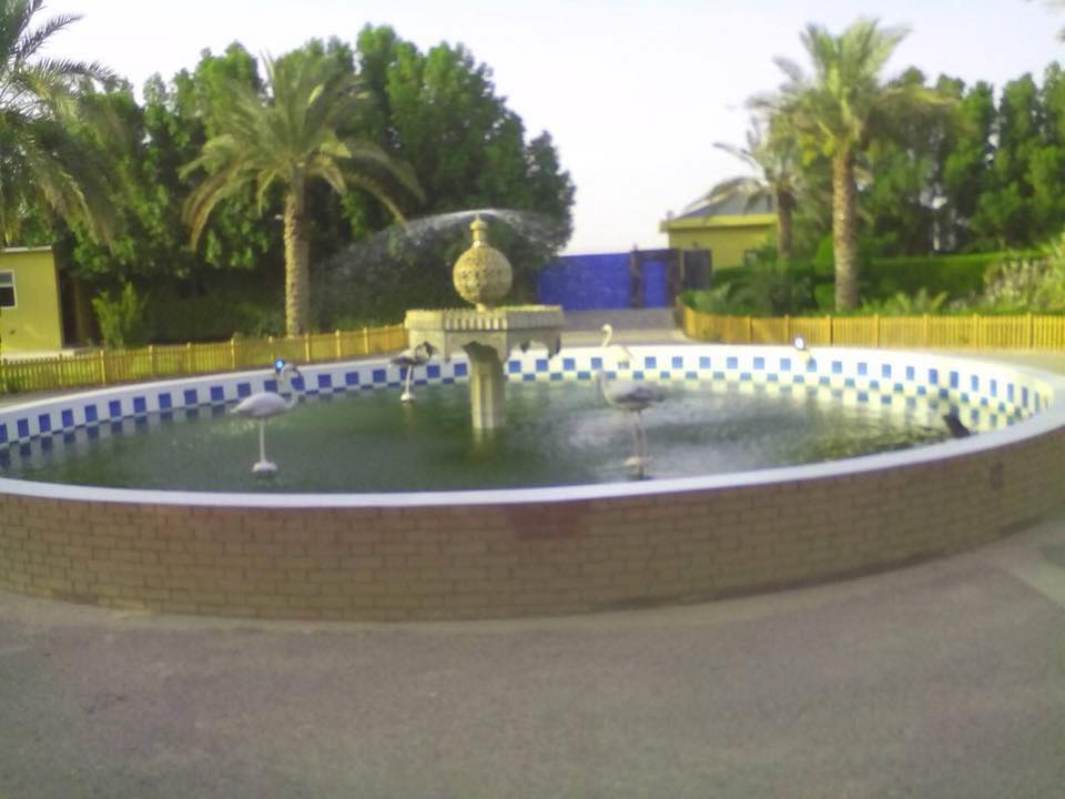 صحراء عراقية تتحول لجنة خضراء بلمسات صينية