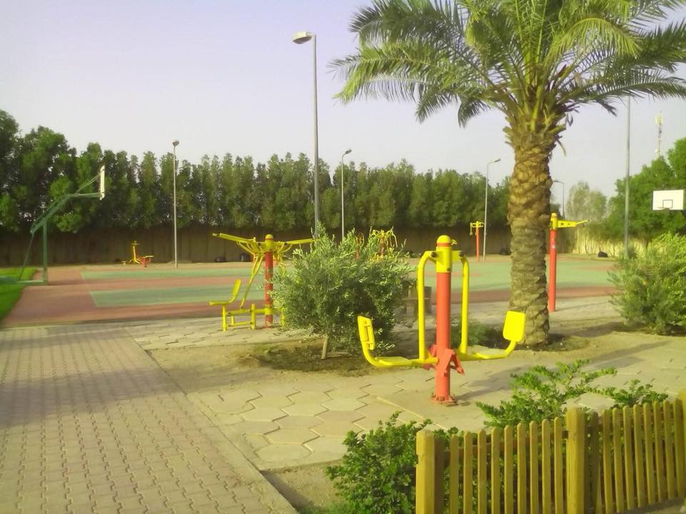 صحراء عراقية تتحول لجنة خضراء بلمسات صينية