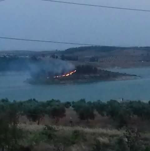 Efrîn.. Grûpên çekdar girava Meydankê dişewitînin 