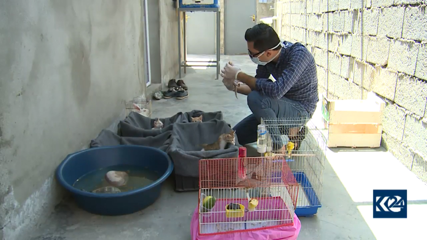 بالصور.. قطة تدفع لاجئا كورديا ليحول خيمته لعيادة بيطرية