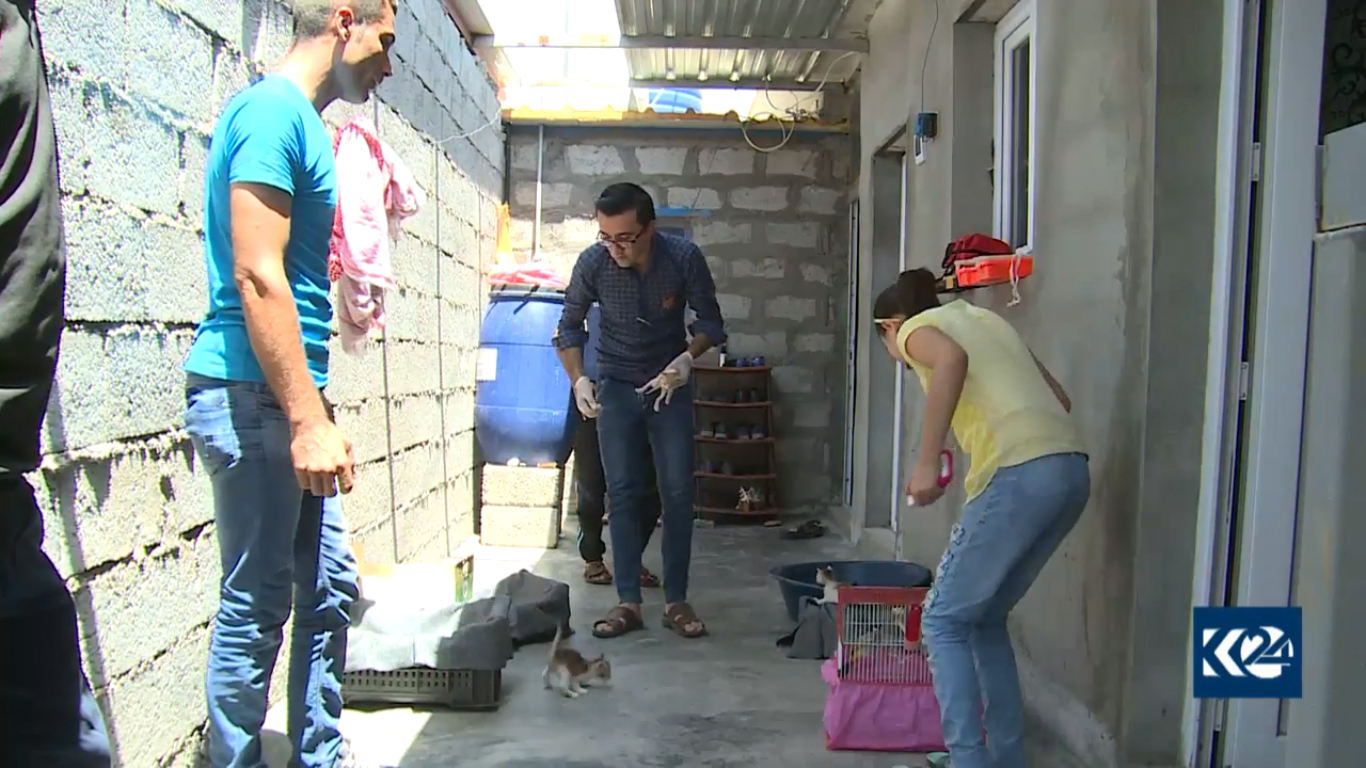 بالصور.. قطة تدفع لاجئا كورديا ليحول خيمته لعيادة بيطرية