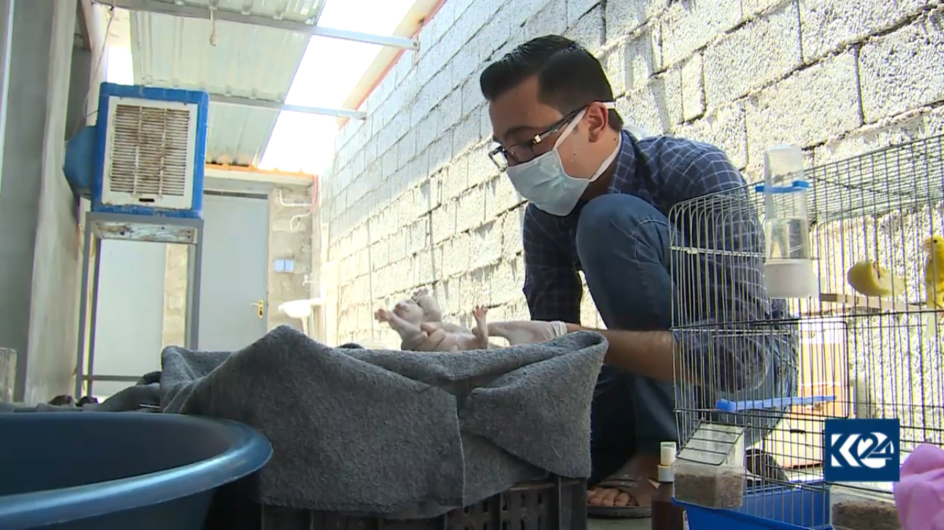 بالصور.. قطة تدفع لاجئا كورديا ليحول خيمته لعيادة بيطرية