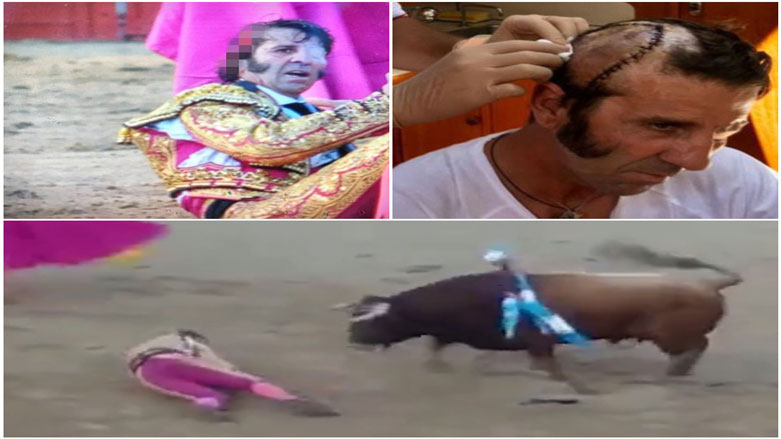 بە ڤیدیۆ: گایەک ماتادۆرێک لە مەرگ نزیک دەکاتەوە