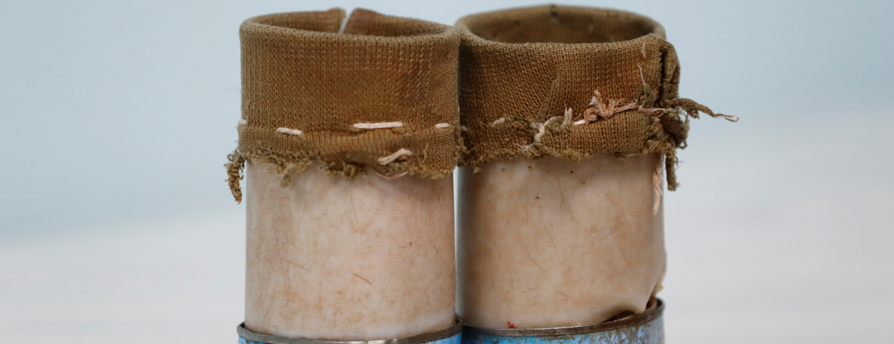 ئه‌و دوو بۆڕییه‌ پلاستیكی و قووتووه‌ ماسییانه‌ی وه‌ك قاچ به‌كاریهێناون