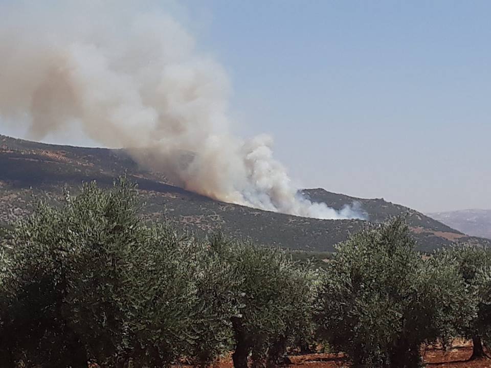 Daristanên Efrînê tên şewitandin
