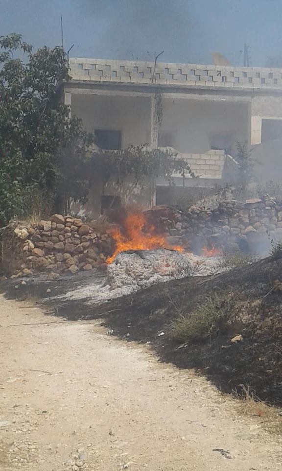 Rêxistinek: Dar û daristanên Efrînê bi qest tên şewitandin