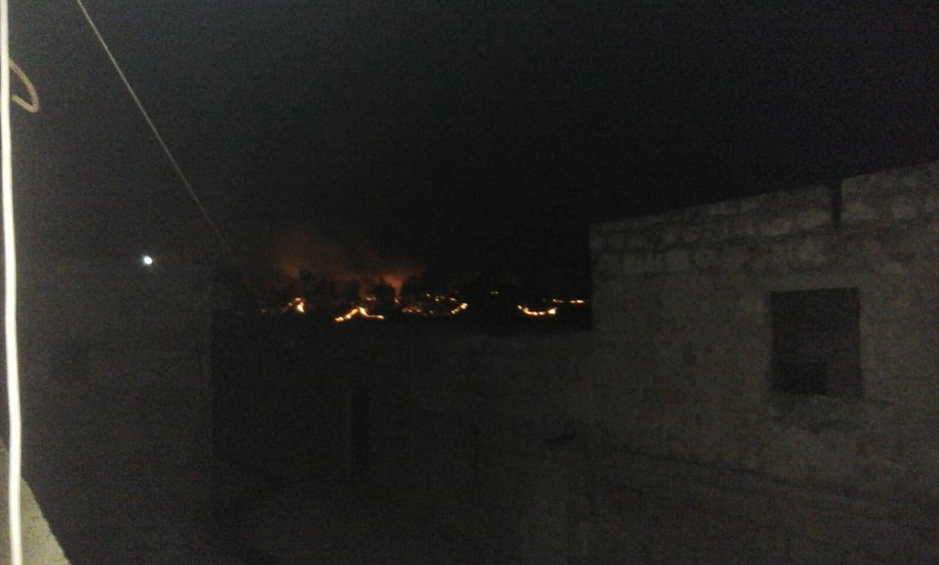 Rêxistinek: Dar û daristanên Efrînê bi qest tên şewitandin
